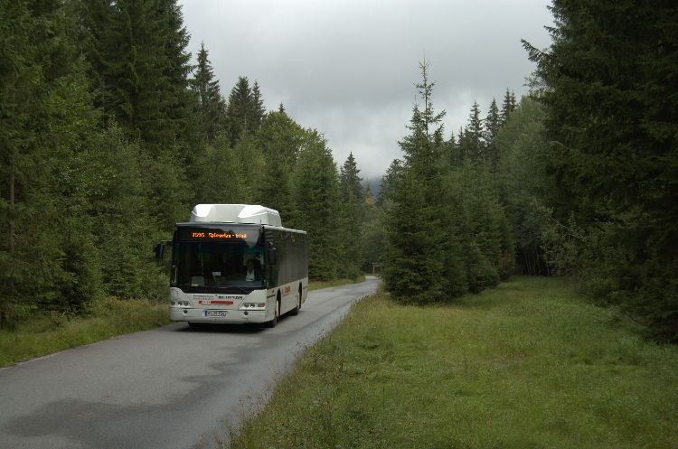 igelbus spiegelauer waldbahn igel bus nationalpark bayerischer wald